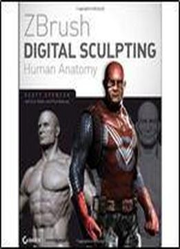 Zbrush Digital Sculpting Human Anatomy