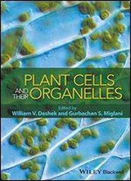 Plant Cells And Their Organelles