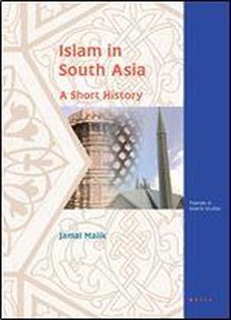 Islam In South Asia: A Short History