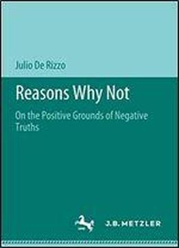 Reasons Why Not: On The Positive Grounds Of Negative Truths