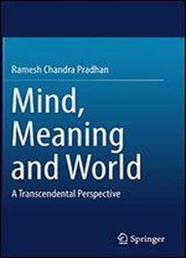 Mind, Meaning And World: A Transcendental Perspective