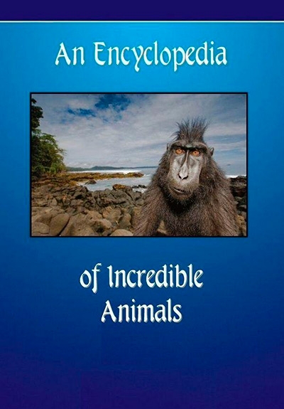 An Encyclopedia of Incredible Animals