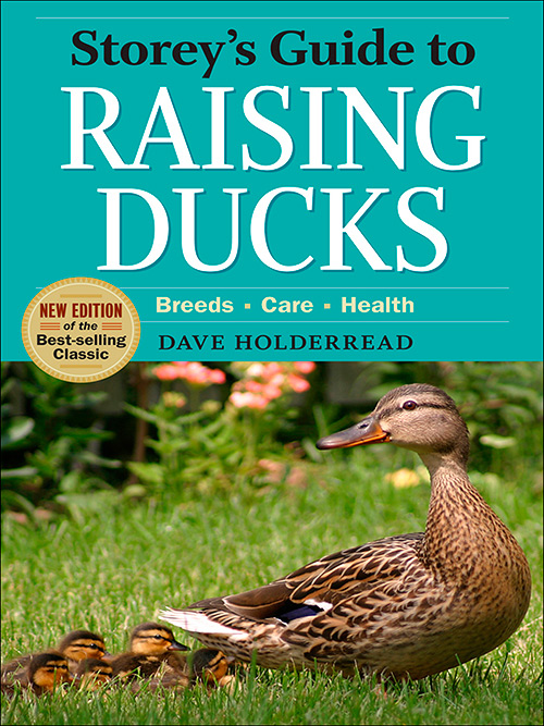 Storey's Guide to Raising Ducks: Breeds, Care, Health, 2nd Edition