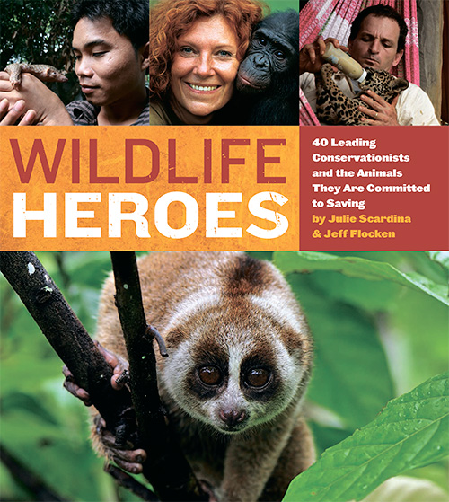 Wildlife Heroes: 40 Leading Conservationists and the Animals They Are Committed to Savin