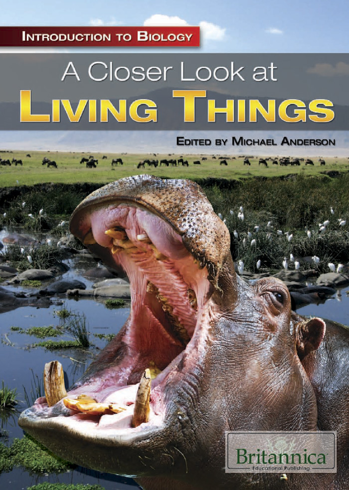A Closer Look at Living Things (Introduction to Biology)
