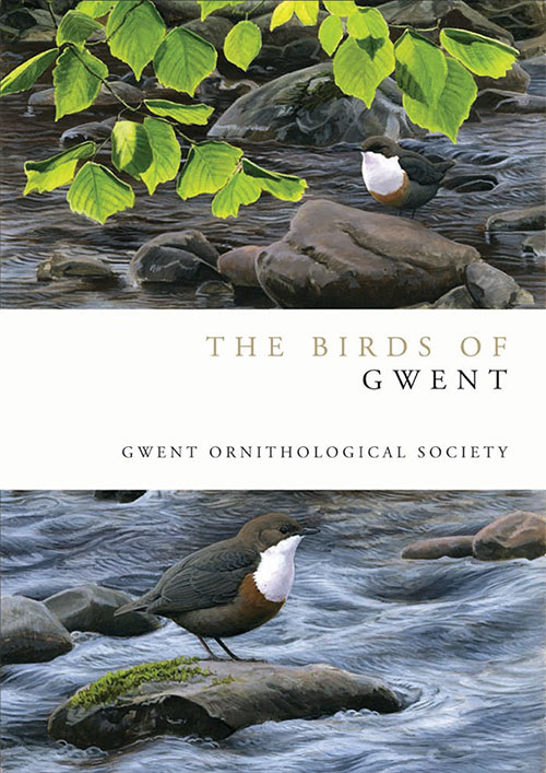 The Birds of Gwent