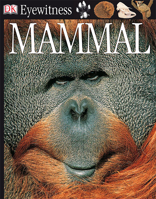 Mammal (DK Eyewitness Books)