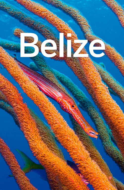 Lonely Planet Belize (Country Guide), 5 edition