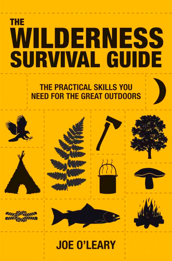The Wilderness Survival Guide: The Practical Skills You Need for the Great Outdoors