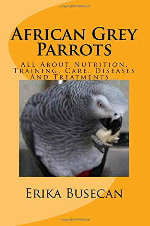 African Grey Parrots: All About Nutrition, Training, Care, Diseases And Treatments