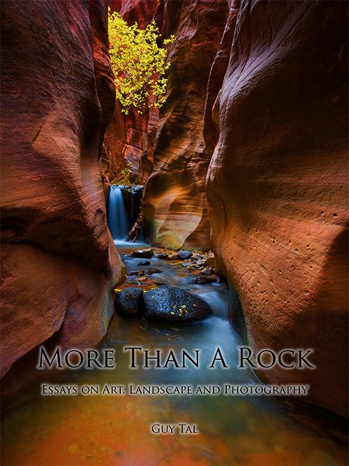 More Than a Rock: Essays on Art, Landscape, and Photography