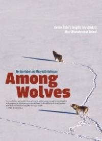 Among Wolves: Gordon Haber’s Insights Into Alaska’s Most Misunderstood Animal
