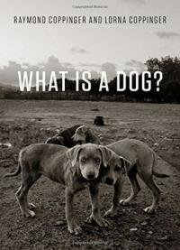 Raymond Coppinger, Lorna Coppinger – What Is A Dog