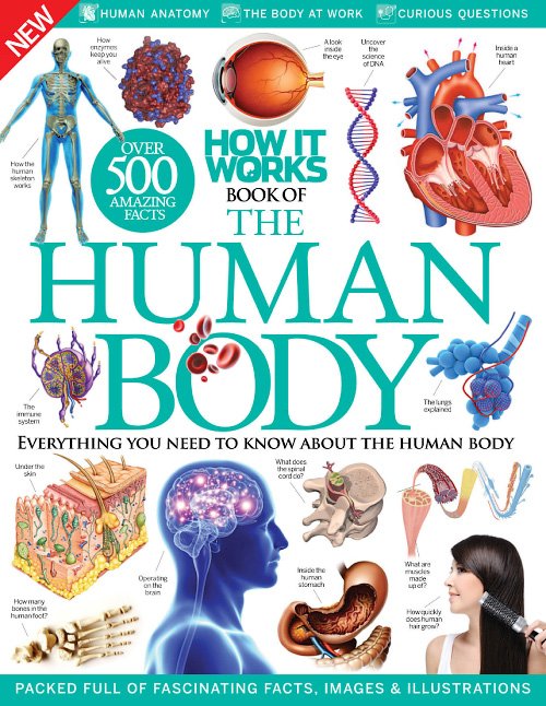 How It Works - Book Of The Human Body 7th Edition