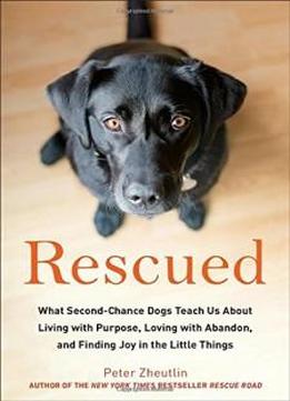 Rescued: What Second-chance Dogs Teach Us About Living With Purpose, Loving With Abandon, And Finding Joy In The Little Things