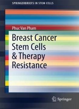 Breast Cancer Stem Cells & Therapy Resistance (springerbriefs In Stem Cells)
