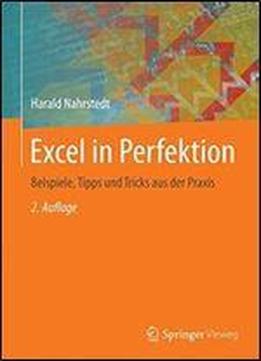 Excel In Perfektion: Beispiele, Tipps Und Tricks Aus Der Praxis
