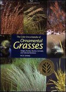 The Color Encyclopedia Of Ornamental Grasses: Sedges, Rushes, Restios, Cat-tails And Selected Bamboos