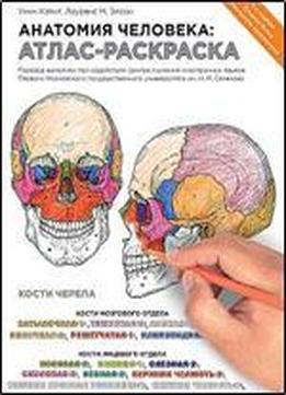Anatomiia Cheloveka: Atlas-raskraska