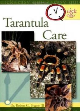 Quick & Easy Tarantula Care
