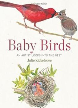 Baby Birds: An Artist Looks Into The Nest