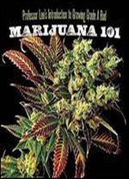 Marijuana 101: Professor Lee's Introduction To Growing Grade A Bud