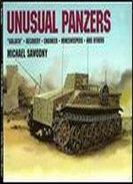Unusual Panzers: 'goliath', Recovery, Engineer, Minesweepers And Others