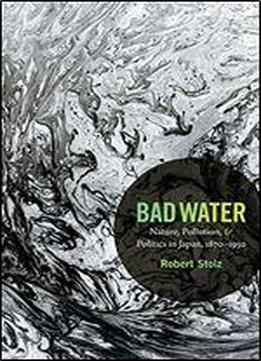 Bad Water: Nature, Pollution, And Politics In Japan, 18701950