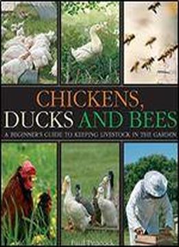 Chickens, Ducks And Bees: A Beginner's Guide To Keeping Livestock In The Garden