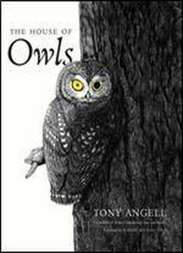 The House Of Owls
