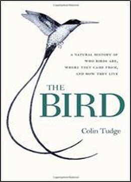 The Bird: A Natural History Of Who Birds Are, Where They Came From, And How They Live