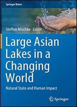 Large Asian Lakes In A Changing World: Natural State And Human Impact