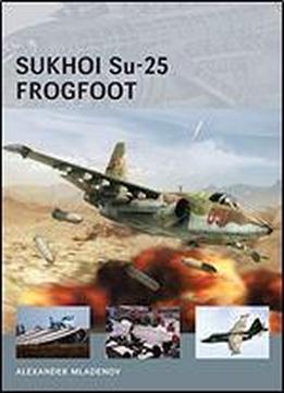 Sukhoi Su-25 Frogfoot (air Vanguard)