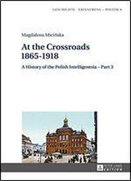 At The Crossroads - 1865-1918: A History Of The Polish Intelligentsia - Part 3 Edited By Jerzy Jedlicki