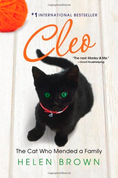 Cleo: The Cat Who Mended a Family