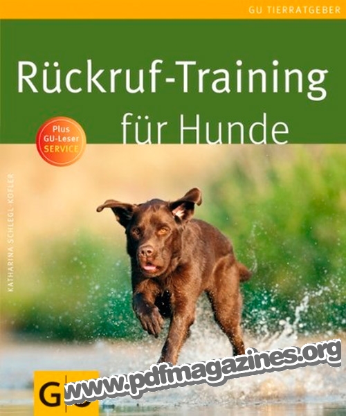 Rückruf-Training für Hunde
