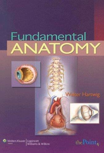 Fundamental Anatomy By Walter Hartwig