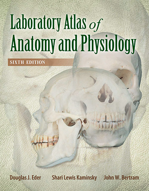 Laboratory Atlas of Anatomy and Physiology (6th edition)
