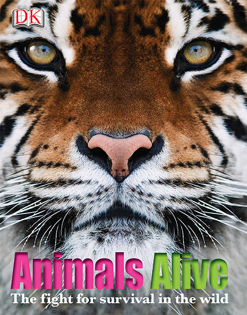 Animals Alive: The Fight for Survival in the Wild