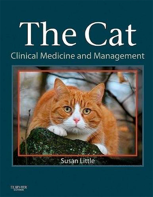 The Cat: Clinical Medicine and Management