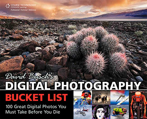 David Busch's Digital Photography Bucket List: 100 Great Digital Photos You Must Take Before You Die