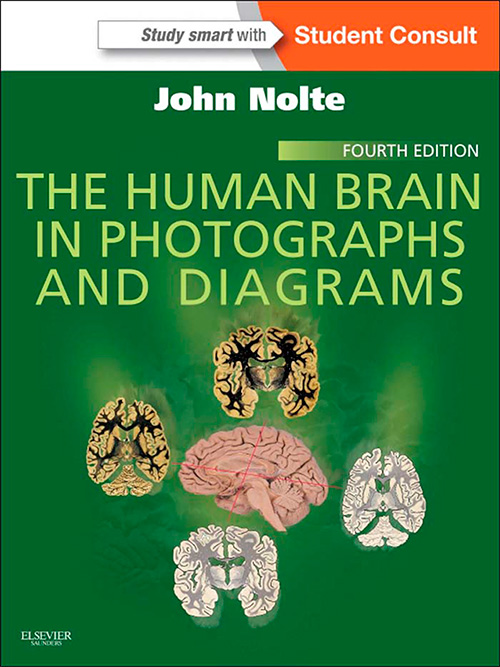 The Human Brain in Photographs and Diagrams: With Student Consult Online Access, 4th Edition