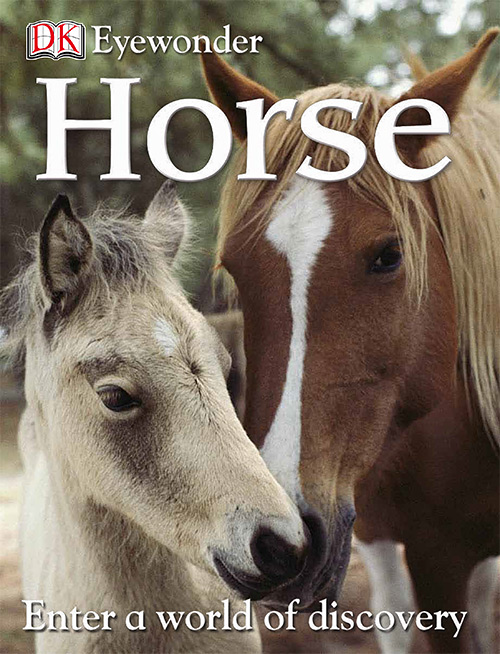 Horse (Eye Wonder)