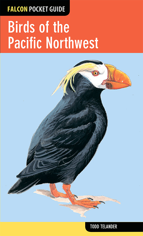 Birds of the Pacific Northwest (Falcon Pocket Guide)