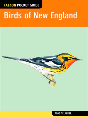 Birds of New England: A Falcon Pocket Guide