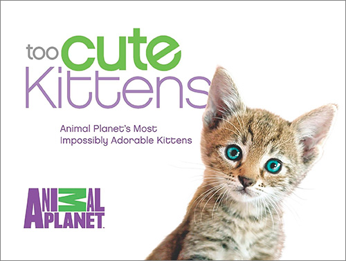Too Cute Kittens: Animal Planet's Most Impossibly Adorable Kittens