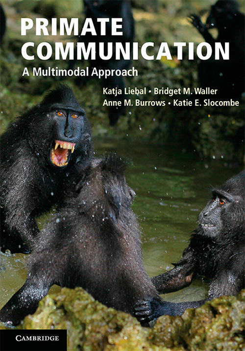 Primate Communication: A Multimodal Approach