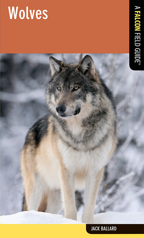 Wolves: A Falcon Field Guide