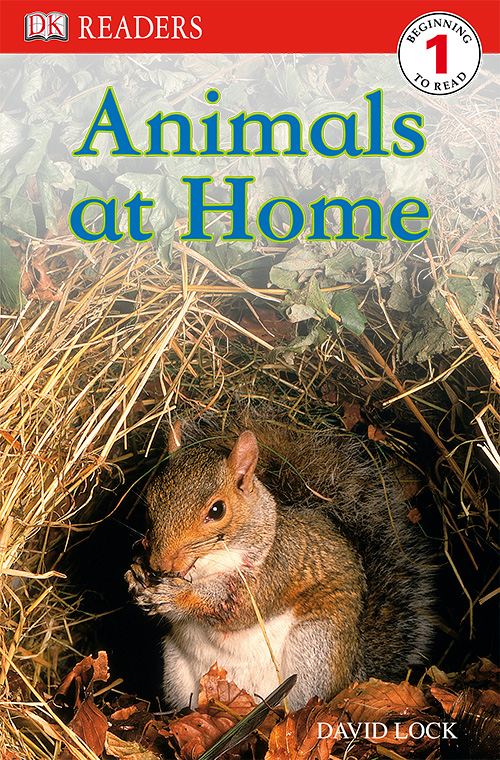 DK Readers L1: Animals at Home