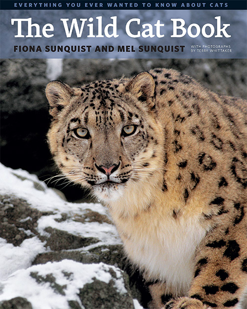 The Wild Cat Book: Everything You Ever Wanted to Know about Cats